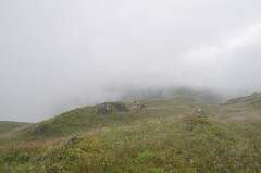 75: DSC_0102