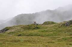 77: DSC_0105