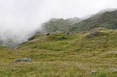 79: DSC_0107