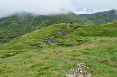 85: DSC_0114