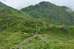87: DSC_0116