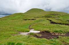 106: DSC_0142