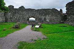 133: DSC_0175