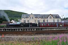 144: DSC_0187