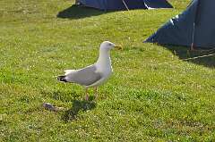 221: DSC_0312