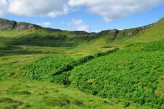 223: DSC_0315