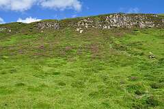 228: DSC_0320