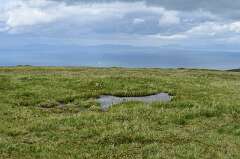 238: DSC_0333