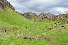 246: DSC_0342