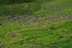 248: DSC_0346
