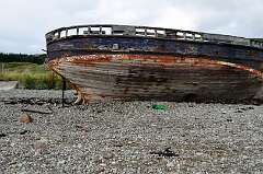 273: DSC_0383