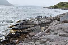 276: DSC_0387