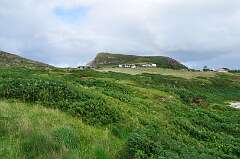 277: DSC_0389