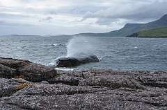 282: DSC_0397