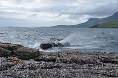 283: DSC_0398