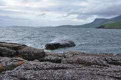 284: DSC_0399