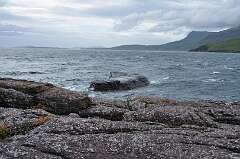 287: DSC_0402