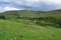 292: DSC_0407