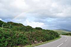 294: DSC_0410