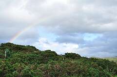 295: DSC_0411
