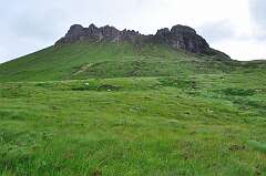 298: DSC_0416