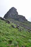 306: DSC_0425