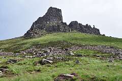 307: DSC_0426