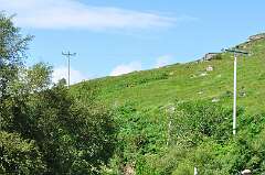 310: DSC_0429