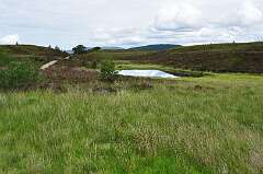 336: DSC_0465