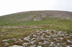 344: DSC_0476