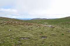 345: DSC_0477