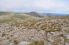 346: DSC_0478