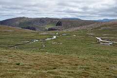 354: DSC_0489