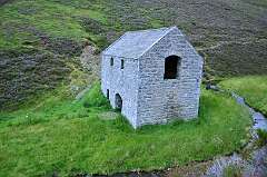 376: DSC_0517b