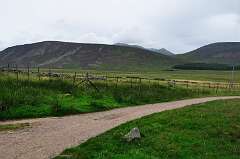 378: DSC_0519