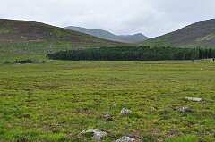 379: DSC_0521