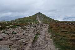 384: DSC_0526