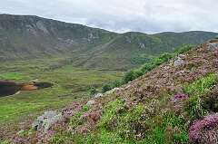 398: DSC_0547