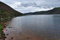 401: DSC_0550