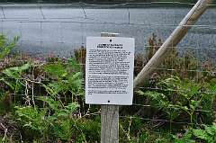 402: DSC_0551