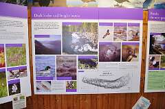 410: DSC_0559