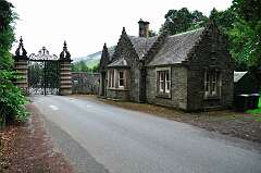 414: DSC_0564