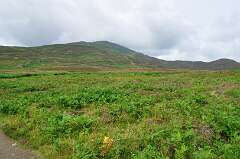 418: DSC_0569