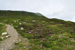 421: DSC_0572