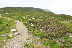 422: DSC_0573