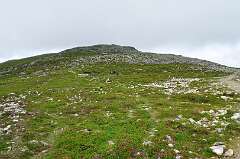 423: DSC_0574