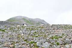 425: DSC_0576