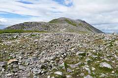 439: DSC_0590