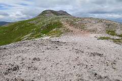 440: DSC_0591