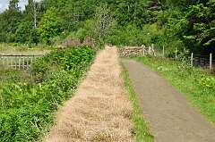 444: DSC_0595